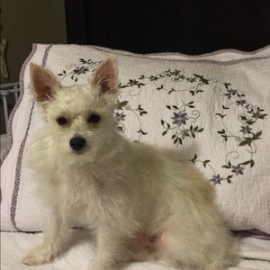 Meet your Posher, Gale